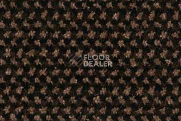 Грязезащитные покрытия Forbo Coral T32 320037200 brown фото 1 | FLOORDEALER